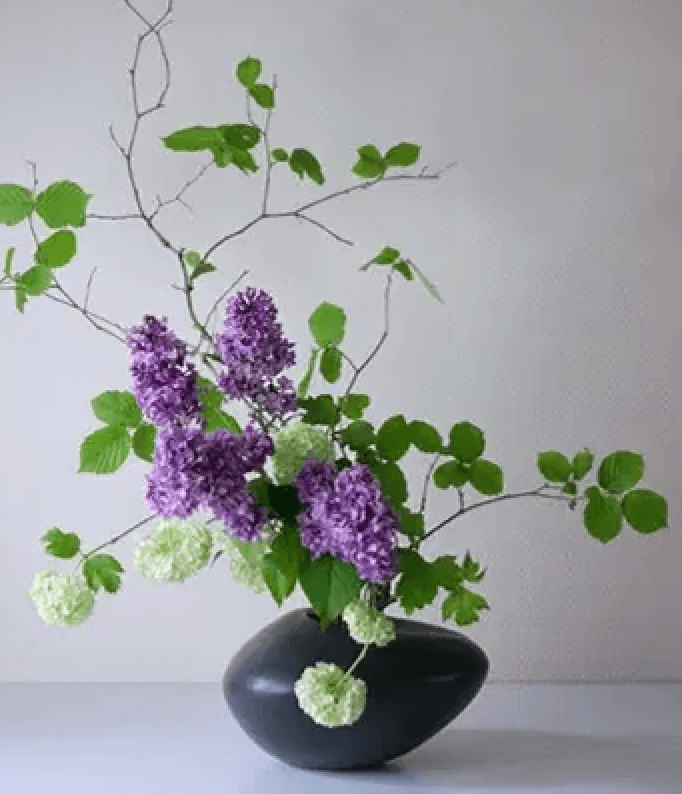 Introduction to Ikebana Workshop
